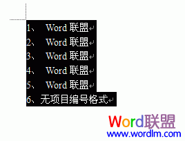 取消项目编号格式以后